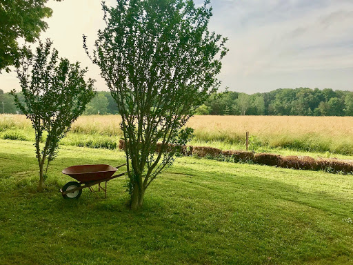farm fields and wheelbarrow