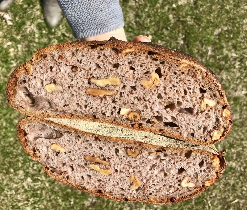 turkey red walnut bread